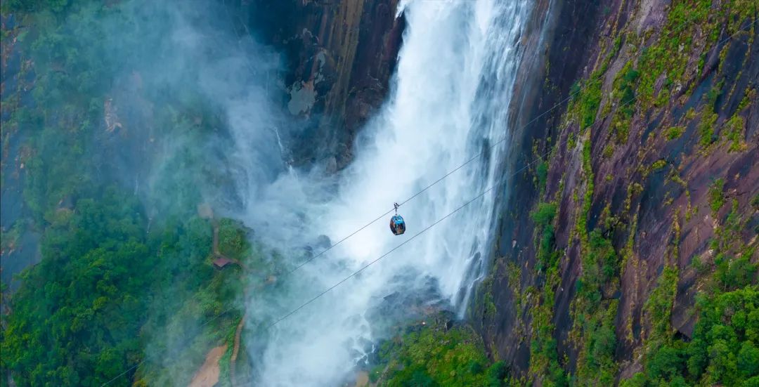 永利集团·yl8cc(中国游)官方网站