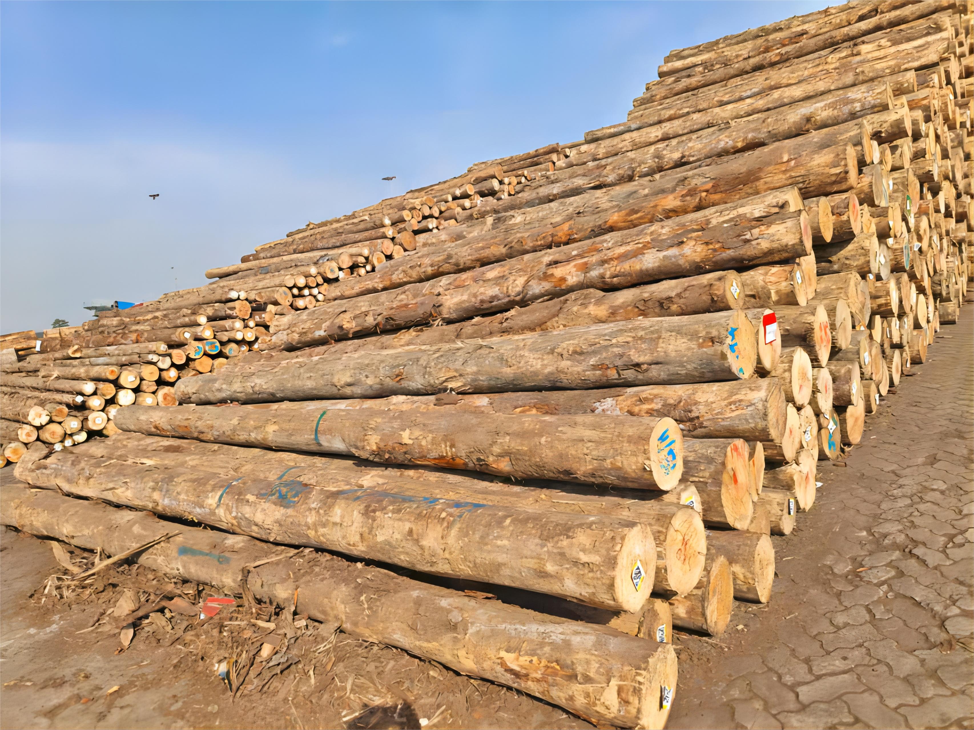 永利集团·yl8cc(中国游)官方网站