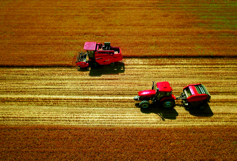 永利集团·yl8cc(中国游)官方网站